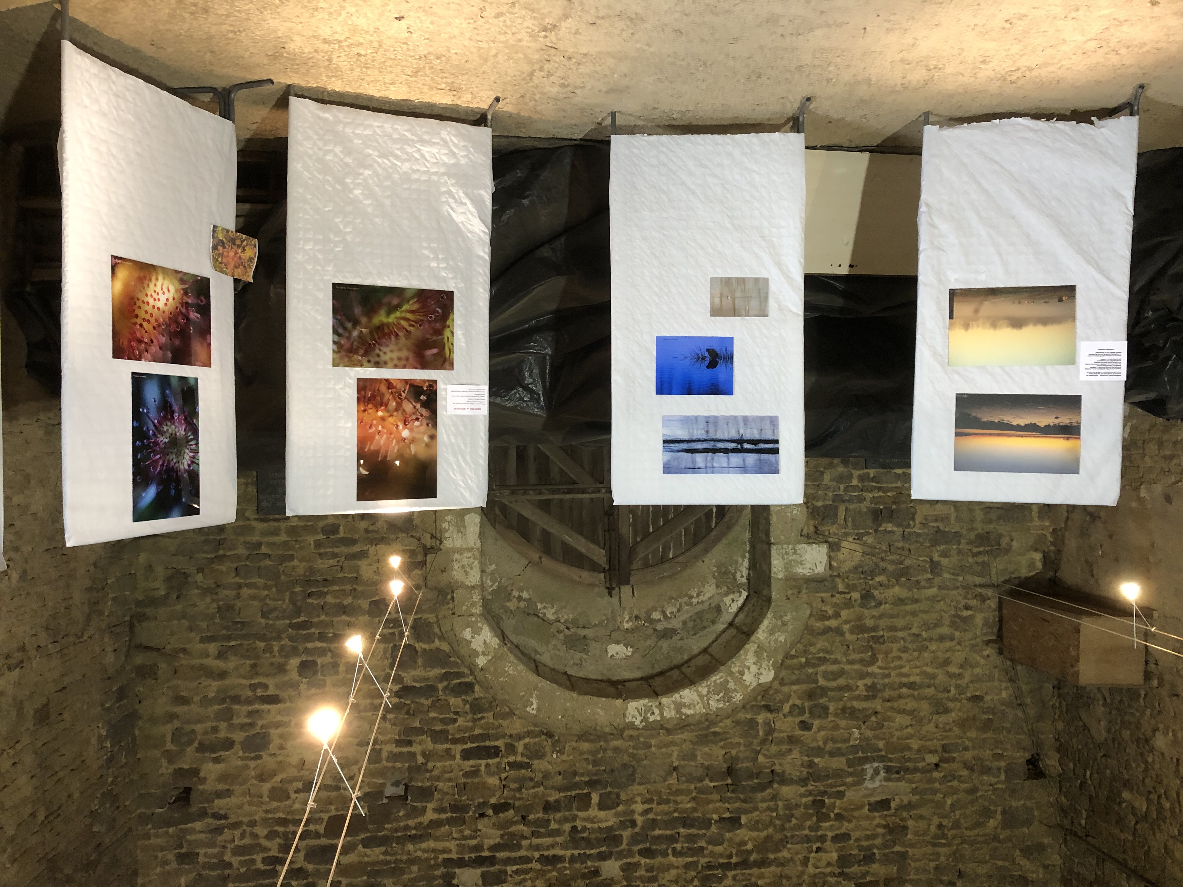 Photo de mon expo